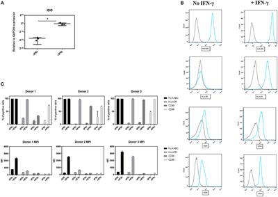 Pediatric Mesenchymal Stem Cells Exhibit Immunomodulatory Properties Toward Allogeneic T and B Cells Under Inflammatory Conditions